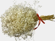 دسته گل عروس جاودان