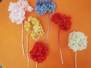 هورتانسیا جاودان